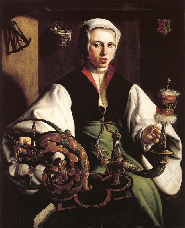 HEEMSKERCK, Maerten van Retrato de una dama hilando Spain oil painting art